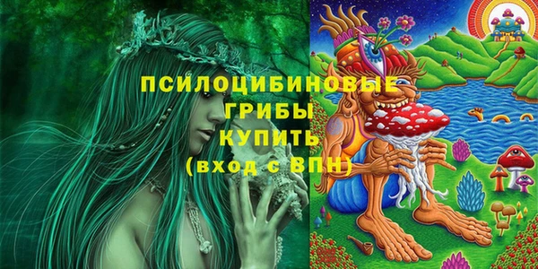 гидропоника Бородино