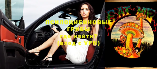 гидропоника Бородино