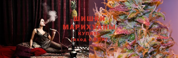 гидропоника Бородино