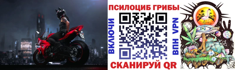как найти закладки  Прокопьевск  Псилоцибиновые грибы мицелий 